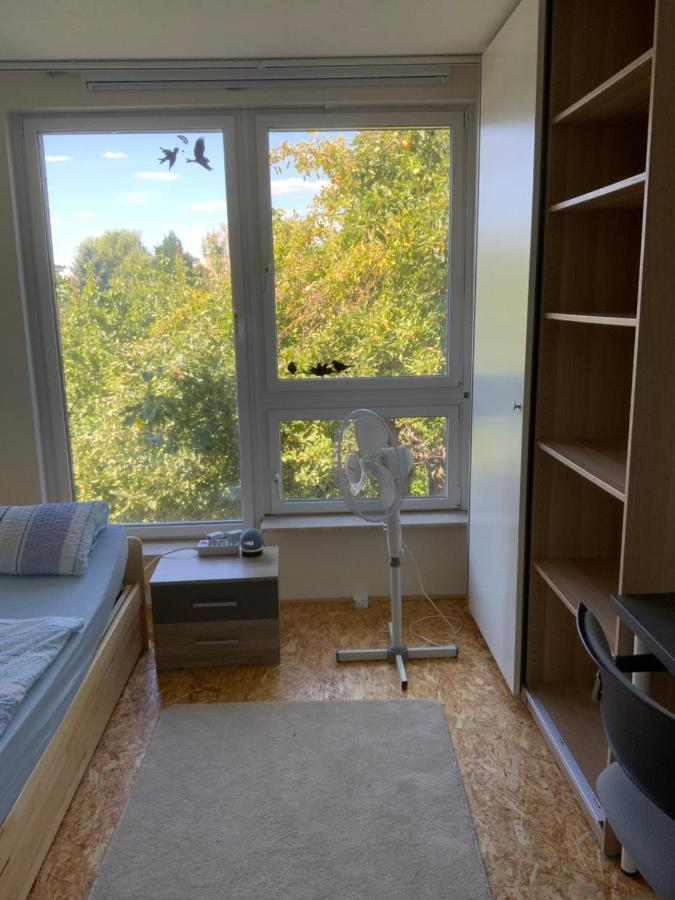 Ferien/ Monteurzimmer Mit Gemeinsam Wozi, Kue, Bad, Wlan Magdeburg Bagian luar foto